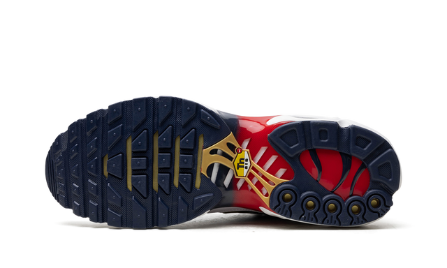 Air Max TN Plus PSG